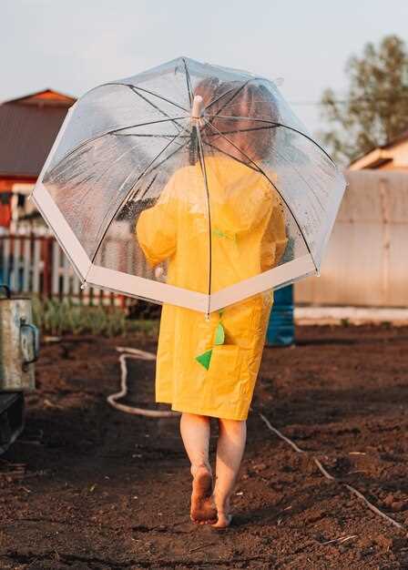 Cómo proteger la pintura del sol y la lluvia